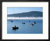 Fishermen  Tillamook Bay  Tillamook  Oregon