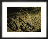 An old-fashioned bicycle lies on a brick patio