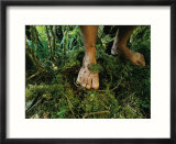 Close view of bare feet on moss-covered soil