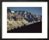 Mules carry visitors to the Grand Canyon