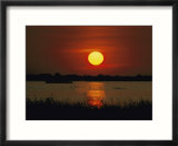 Wildfoul at sunset on the Outer Banks