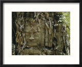 Temple ruins covered with tree roots