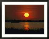 Wildfoul at sunset on the Outer Banks