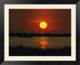 Wildfoul at sunset on the Outer Banks