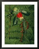 Tropical seeds and flowers from the cloud forest which are eaten by resplendent quetzal birds