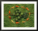Tropical seeds and flowers from the cloud forest which are eaten by resplendent quetzal birds