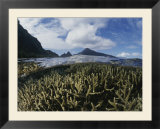 A split-level view of mountains and coral reef