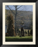 A scarecrow stands guard next to a corn shock