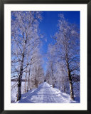 Snow on Country Road  Liminka  Finland