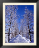 Snow on Country Road  Liminka  Finland