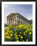 Roman-Style Ruins in Spanish Countryside with Wildflowers