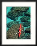Kayakers Paddle on the Clear Waters of the Gulf of California