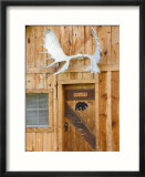 Cabin at Kantishna Roadhouse in Denali National Park  Alaska  USA