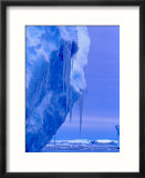 Blue Icebergs  Antarctica