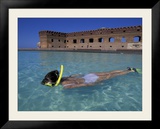 Swimmer at Fort Jefferson  Garden Key  Dry Tortugas  Florida  USA
