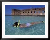 Swimmer at Fort Jefferson  Garden Key  Dry Tortugas  Florida  USA