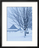 Farmhouse in Winter - La Beauce