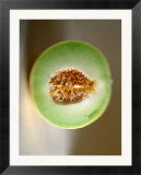 One Half of a Honeydew Melon
