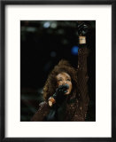 American Singer Whitney Houston
