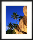 Granite Formations and Palm Trees  Seychelles