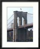 Bridge  New York City