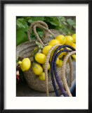 Handbag with Lemons  Positano  Amalfi Coast  Campania  Italy