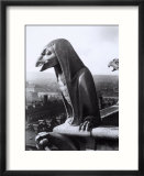 Statue Depicting a Fantastic Eagle on the Exterior of the Cathedral of Notre-Dame  Paris