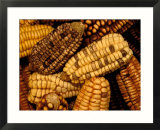 Peruvian Corn  Peru