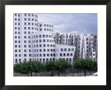 The Neuer Zollhof Building by Frank Gehry at the Medienhafen  Dusseldorf  North Rhine Westphalia