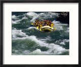 White-Water Rafting in Snake River  Jackson Hole  Jackson  Wyoming