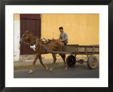 Man Riding on Horse-Drawn Cart  Granada  Nicaragua