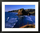 Coastline at Piha Dominated by Lion Rock  New Zealand
