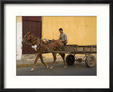 Man Riding on Horse-Drawn Cart  Granada  Nicaragua