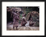 Mbnti Pygmies and Their Forest Huts  Ituri Rain Forest  Northern Zaire  Zaire  Africa