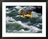 White-Water Rafting in Snake River  Jackson Hole  Jackson  Wyoming
