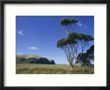 Hickory Bay  Banks Peninsula  Canterbury  South Island  New Zealand