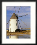 Old Windmill at Mar Menor  Near Cartagena  Murcia  Spain