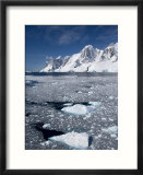 Lemaire Channel  Weddell Sea  Antarctic Peninsula  Antarctica  Polar Regions