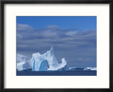 Icebergs  Weddell Sea  Antarctic Peninsula  Antarctica  Polar Regions
