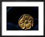 Gold Artifact from Tillya Tepe Find  Six Tombs of Bactrian Nomads  Afghanistan