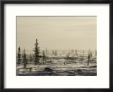 Snow Storm  Blizzard  Churchill  Hudson Bay  Manitoba  Canada
