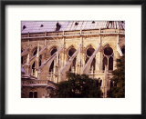 Flying Butresses  Notre Dame  Paris  France
