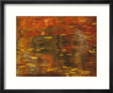 Abstract of Autumn Leaves and Reflections in Water  Lake Chippewa  Wisconsin  USA