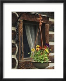 Flower Basket Outside Window of Log Cabin  Fort Boonesborough  Kentucky  USA