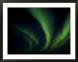 Northern Light  Aurora Borealis  Churchill  Manitoba  Canada