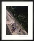 Male Rock Climbing in Yosemite National Park  California