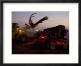 Salvage Logging after Large Forest Fire near Burney  California