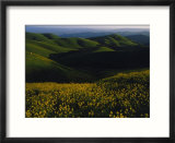 Part of the East Bay Regional Park District near Oakland  California