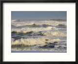 Storm Waves Pound the Shore