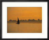 Felucca on River Nile  Luxor  Egypt